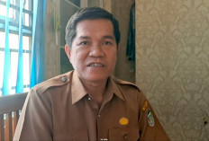 Lowongan Eselon II untuk Seleksi JPT Pratama di Pemkab Seluma Bertambah Jadi 11 Posisi