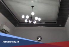 Plafon PVC vs GRC, Ini Perbandingan Kelebihan, Kekurangan dan Harganya