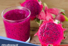 Punya Bentuk Unik, Ternyata Punya 15 Manfaat Buah Naga untuk Kesehatan Manusia