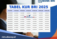 Tutorial Pengajuan KUR BRI Terbaru Secara Online, Dijamin Mudah dan Disetujui