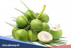 Manfaat Kelapa untuk Kecantikan, Rahasia Alami Kulit Sehat dan Glowing