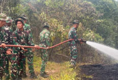 Atasi Karhutla di Seluma, Yon TP 891/Maharaja Sakti Siagakan 2 Unit Armada Damkar