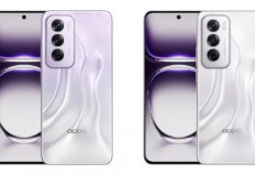 2 HP yang Sama Menariknya, Begini Perbandingan Oppo Reno 12 Pro 5G vs Oppo Reno 14F 5G   