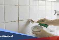 Cara Membersihkan Kerak Kamar Mandi yang Membandel dengan Bahan Dapur, Praktis dan Aman
