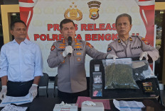 Gawat!!! Narkoba Masuk Semakin Dalam di Lingkungan Anak Bawah Umur, 6 Orang Ditangkap Polresta Bengkulu 
