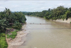  Kodim 0425/Seluma Tuntas Bangun 3 Jembatan Gantung Garuda, Lokasinya di Sini 