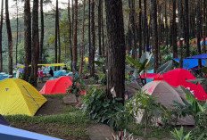 Rekomendasi Spot Camping Akhir Pekan Terbaik di Jambi