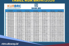 Tabel Angsuran KUR BRI 2026 Pinjaman Mulai 1 Sampai 150 Juta dengan Bunga 6 Persen Per Tahun