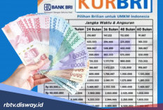 Tabel KUR BRI Mei 2026 Plafon Pinjaman Rp 50 Juta, Begini Ciri-ciri Pinjaman Ditolak