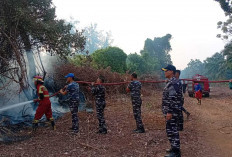 Danlanal Bengkulu Gerak Cepat Pimpin Padamkan Kebakaran Lahan di Muara Dua
