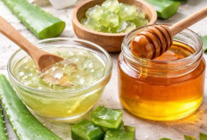 Cara Mengembalikan Kelembapan Kulit Tangan Kering dengan Bahan Alami