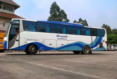 38,7 Juta Orang Diprediksi Mudik ke Jateng, Cek Harga Tiket Bus PO Armada Jaya Perkasa Cilegon-Semarang