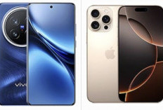 Bingung Pilih yang Mana, Ini Perbandingan Vivo X200 FE vs iPhone 16 Pro Max    