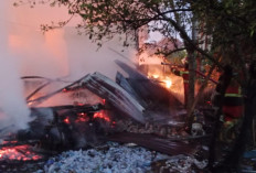 Rumah Semi Permanen di Sumber Jaya Terbakar, Diduga Korsleting Listrik