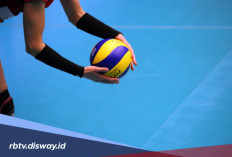 Daftar Skuad Hyundai Hillstate di KOVO Cup dan V-League 2026/2027, Siapa Jadi Pemain Andalan?