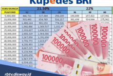 Jangan hanya Fokus KUR, Ada Kupedes BRI 2026 untuk Pelaku UMKM, Proses Pengajuannya Mudah