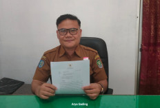 Bupati Seluma Teddy Rahman Meradang, Kirim Surat Peringatan ke Pabrik Kelapa Sawit
