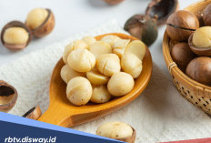 7 Manfaat Kemiri untuk Kesehatan, Begini Cara Benar Mengolahnya