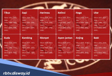 Penasaran Apa Shio Kamu? Begini Cara Mengetahuinya dari Tahun Lahir