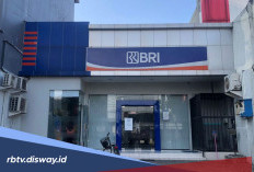 Perhitungan Simulasi Angsuran Kupedes BRI Rp 85 Juta, Bisa Dicicil dengan Skema Musiman 