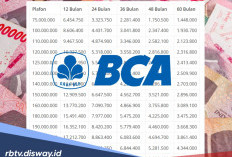 Update Informasi Terbaru KUR BCA 2026, Cek Simulasi Pinjaman Rp 75 dan Rp 100 Juta
