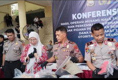 Ops Musang Nala 2026: 110 Pelaku Kejahatan Diringkus Polda Bengkulu dan Polres Jajaran