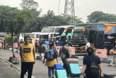 Harga Tiket Bus Jakarta-Medan Maret 2026, Cek Jam Perjalanan 
