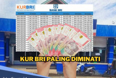 Angsuran Bulanan Kurang dari Rp 1 Juta untuk Pinjaman KUR BRI Rp 200 Juta?