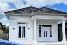 Mau Rumah Terasa Lebih Luas dan Sejuk? Ini Rekomendasi Warna Cat yang Perlu Anda Coba