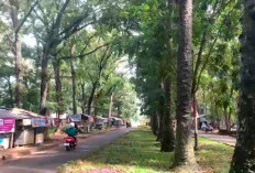 Taman Remaja Bakal Disulap Jadi Taman Merah Putih, Disediakan Jogging Track 