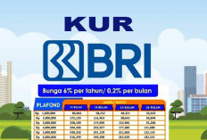 KUR BRI untuk PNS Tertentu, Bisa Pinjam hingga Rp 300 Juta Asalkan Memenuhi Syarat Berikut 