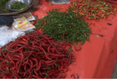 Harga Cabai Merah di Pasar Purwodadi Berangsur Turun 