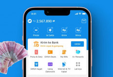 Game Penghasil Uang Tanpa Undang Teman, Saldo Gratis Masuk ke Akun DANA