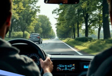 Rekomendasi Persentase Kegelapan Kaca Film Mobil agar Kabin Lebih Adem dan Nyaman
