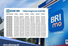 Syarat dan Angsuran Terbaru Pinjaman KUR BRI untuk PPPK