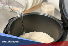 Takaran Air Memasak Nasi di Magic Com, Hasilnya Pulen dan Matang Sempurna
