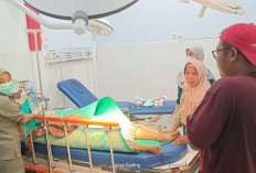 Diduga Depresi IRT Ulu Talo Seluma Nekat Menenggak Racun Rumput