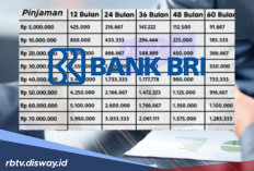 Tabel KUR BRI Plafon Rp 5 Juta, Angsuran Mulai Rp 100 Ribuan Per Bulan