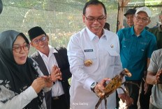 Menuju Seluma Emas, Bupati Teddy Rahman Sulap Kawasan Pesisir Jadi Poros Ekonomi