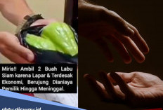 Tragedi Labu Siam Jadi Tamparan untuk Umat Islam, Begini Hukum Bertetangga dalam Islam 