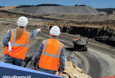 Daftar 8 Tambang Batu Bara Terbesar di Indonesia Akhir 2025