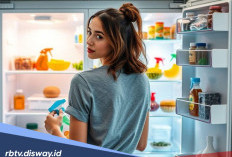 Penyebab dan Cara Mengatasi Freezer Dingin tapi Kulkas Bawah Tidak