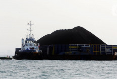 Kalimantan Timur Penguasa Harta Karun Emas Hitam Terbesar di RI