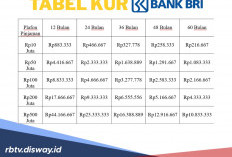 Tabel Lengkap dan Syarat Utama KUR BRI Bagi Peminjam Pertama