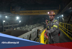 PT Freeport Indonesia Buka 91 Lowongan Kerja, Ada 17 Posisi untuk Fresh Graduate