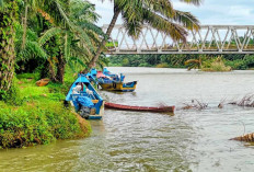 Nelayan Seluma Pilih Parkir Kapal di Bawah Jembatan Dibanding di Pelabuhan Perikanan Nusantara