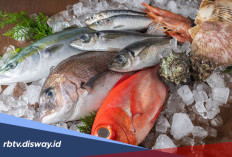 5 Rekomendasi Ikan yang Tinggi Protein, Mudah Dijumpai dan Harganya Murah
