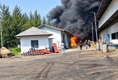 PT Agro Mega Perkasa di Teluk Sepang Kota Bengkulu Terbakar