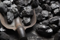 Indonesia's Coal Production Reaches 584 Million Tons as of September, Exports Predicted to Decrease