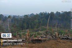 Kemenhut Amankan 40 Hektar Zona Inti TNBBS Ditebang dan Dibakar, 4 Tersangka Ditahan